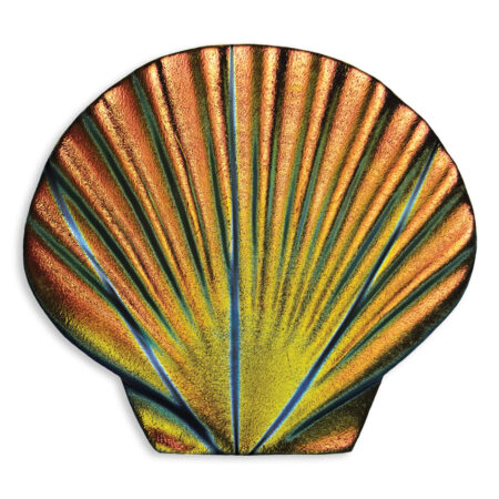 Fusion Rainbow Seashell (MSSHRAIB) 5″