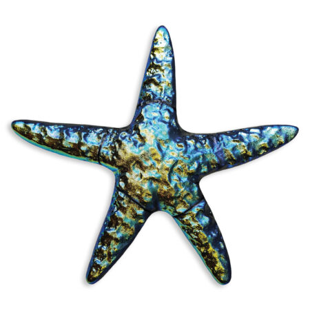 Fusion Rainbow Starfish (MSTARAIB) 5″