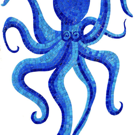 Octopus blue (G-OCMB) 36″x27″