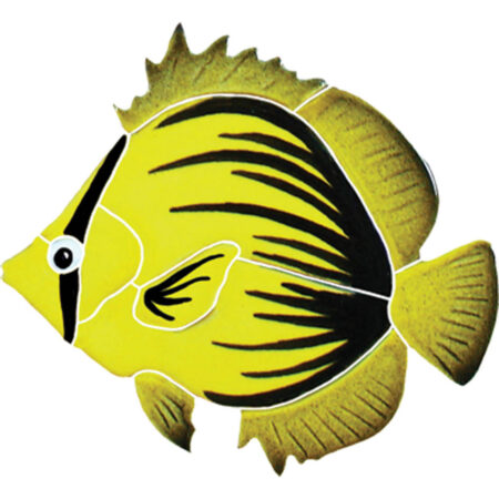 SPIKED BUTTERFLY FISH (BFSYELLS) 4″X5″