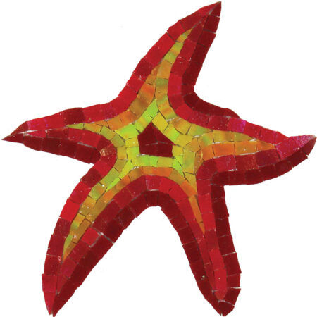 Starfish (G-STS) 8″x6″