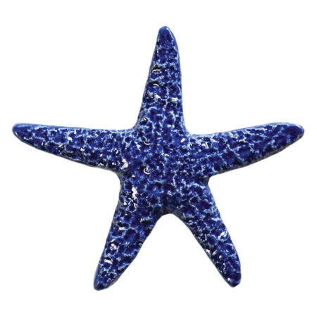 STARFISH BLUE (STABLUB) 5″