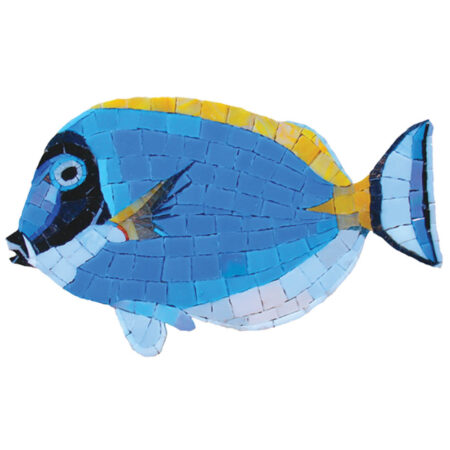 Surgeon Fish (G-SFS) 6″x10″