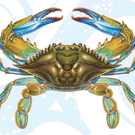 Blue Crab 11″x8″ BY CUSTOM MOSAICS