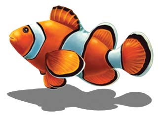 Clown Fish (with shadow) 8″x6″  by Custom Mosaics