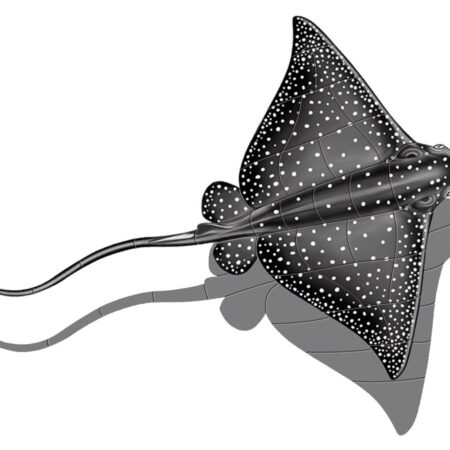 Eagle Ray (with shadow) 18″x15″ PORC-ER48-18/SH
