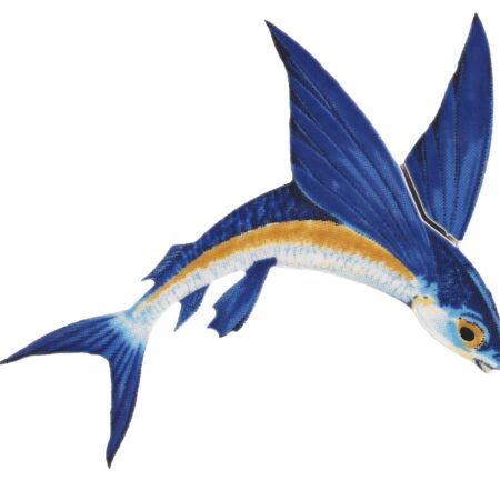 Flying Fish-A 7″x6″ by Custom Mosaics