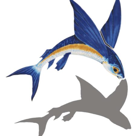Flying Fish-A (with shadow) 7″x8″ by Custom Mosaics
