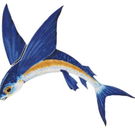 Flying Fish-A Reverse 7″x6″ by Custom Mosaics