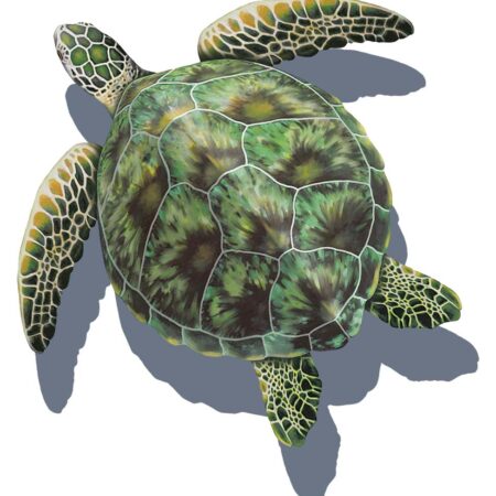 Green Sea Turtle (with shadow) BY CUSTOM MOSAICS