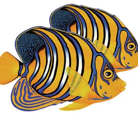 Regal Angelfish (Double) 8″x7″ by Custom Mosaics