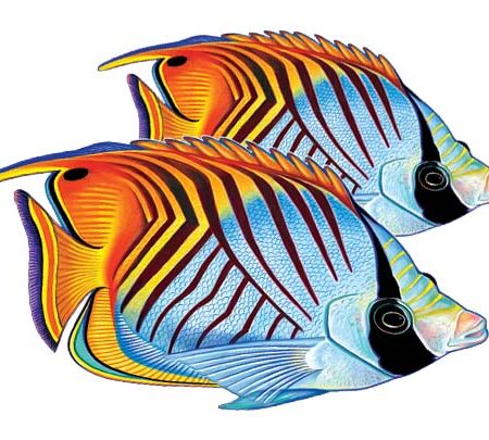 Threadfin Butterflyfish (Double) 9″x9″ by Custom Mosaics