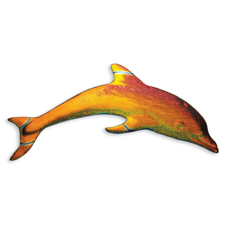 Fusion Mini Dolphin Rainbow MDMIRAIB 6″
