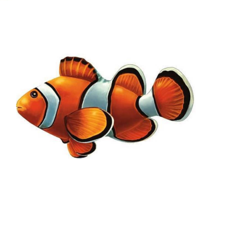 Clown Fish PORC-CL58-5 by Custom Mosaics