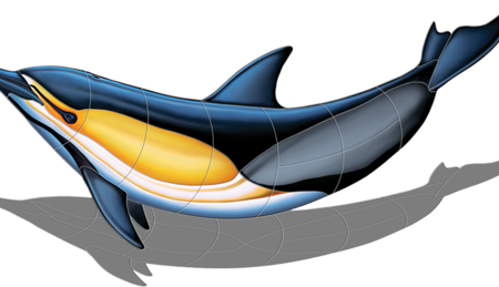 Common Dolphin – B (with shadow) by Custom Mosaics