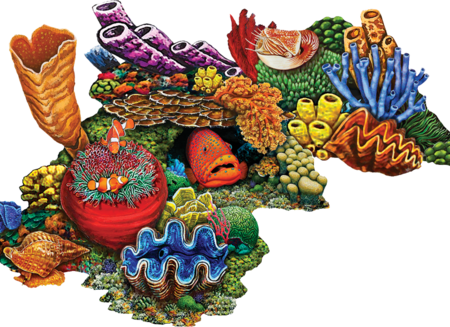 Coral Reef D 22″x22″ by Custom Mosaics