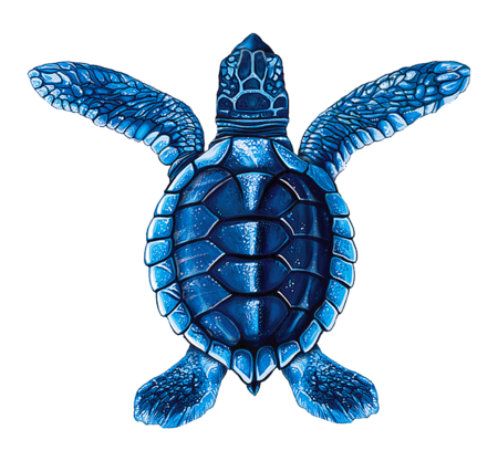 Baby Turtle – Blue 5″x5″ BY CUSTOM MOSAICS